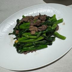 DA GE FAN User Photo