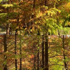 铁锅年代(天台店) User Photo