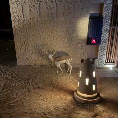 1484 By Puro User Photo