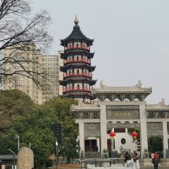QI ZHI WEI LU ROU JUAN User Photo