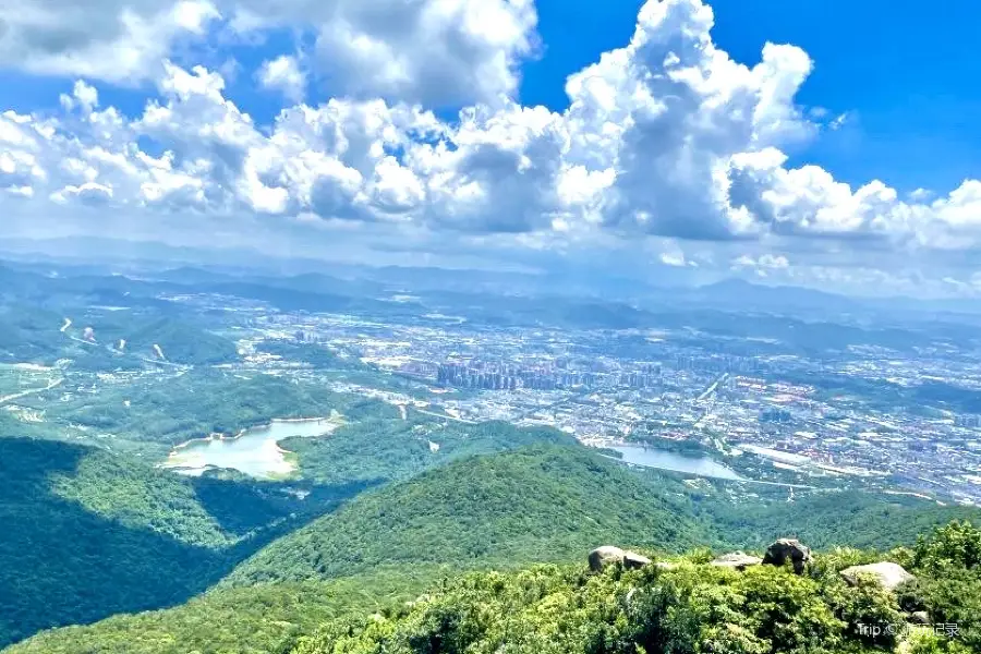 Qingxi Forest Park