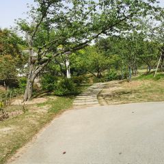 無邪張用戶圖片