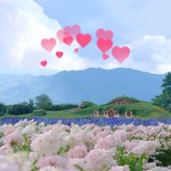 听花谷餐厅 User Photo