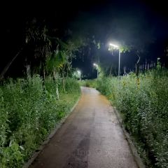 好灶头(翠湖路店) User Photo