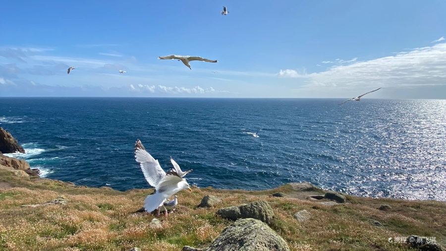 The Honey Pot PZ Ltd