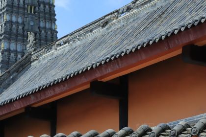 FU QI QIAO MIAN GUAI WEI SHUI JIAO