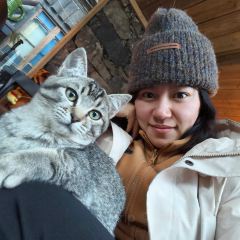 仓木餐厅Elimwood User Photo
