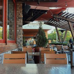 Lazy Dog Restaurant & Bar User Photo