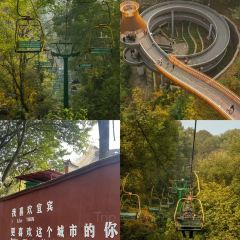 香竹笼 User Photo