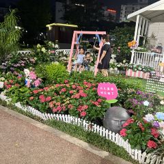 Donghuadouhua User Photo