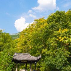 同路人(汇丰店) User Photo