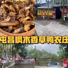屯昌县枫木镇枫木香草鸭店 User Photo