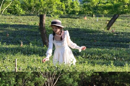 银峰农庄·特色烧鸡·鲜无花果浸鸡