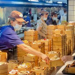 龙华茶园 User Photo