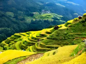 Jiabang Rice Terraces - Terraces Above the Clouds