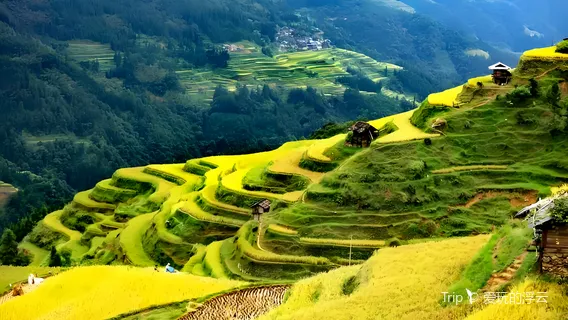 Jiabang Rice Terraces - Terraces Above the Clouds