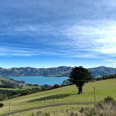 Akaroa Fish & Chips User Photo