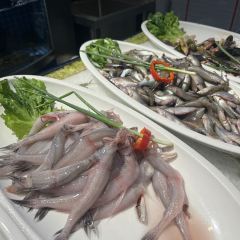 SHAO XING LAO WEI DAO User Photo