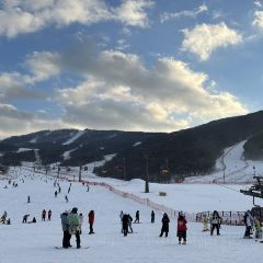 金秋鱼餐馆 User Photo