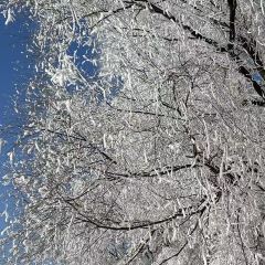 金秋鱼餐馆 User Photo