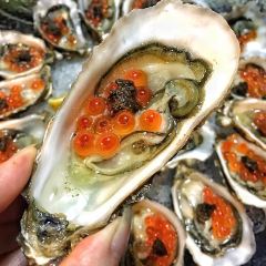 1802 Oyster Bar - Coffin Bay User Photo