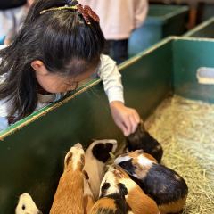 食堂 光張用戶圖片