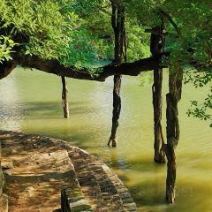 红瓶(·三坊七巷店) User Photo