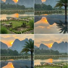 九龙奇迹海鲜大排档(万象城店) User Photo