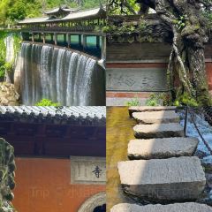 王阿姨梅花糕 User Photo