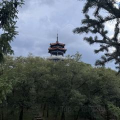 顺玉大片肉(劳动桥店) User Photo