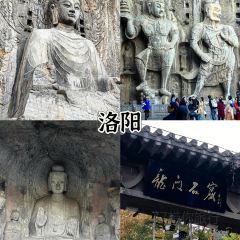 眼镜粑店 User Photo