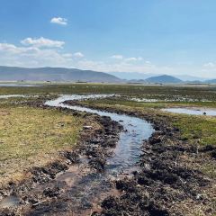 傣景园景颇族绿叶手抓饭 여행 사진