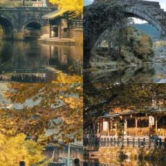 九号咖啡 User Photo