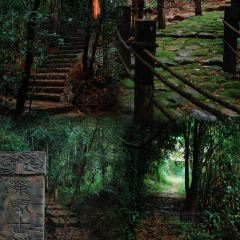 申记臭豆腐煮鱼(五一步行街店) User Photo