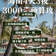 瑞丰椰子鸡 User Photo