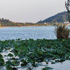 Nanbeihuliuxiangge Restaurant User Photo