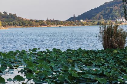 Nanbeihuliuxiangge Restaurant
