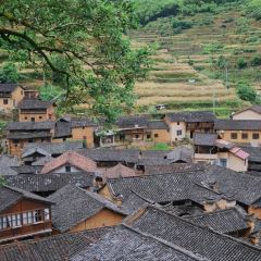 徐记煨盐鸡 User Photo