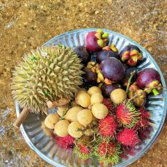Dusun Tok Wak Desa, User Photo