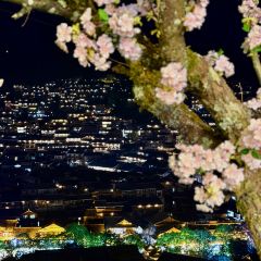 幽兰落 User Photo