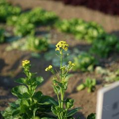 良壤有机庄园 User Photo