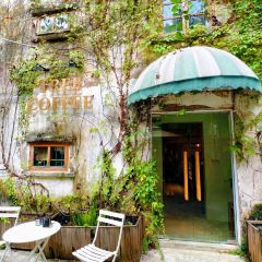 樹Cafe張用戶圖片