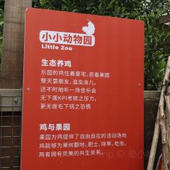 铁牛妈妈的餐厅 User Photo