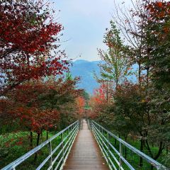 柒月麓山 여행 사진
