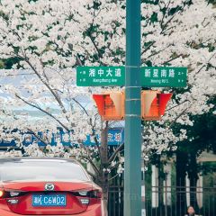花之林(湘中大道店) User Photo