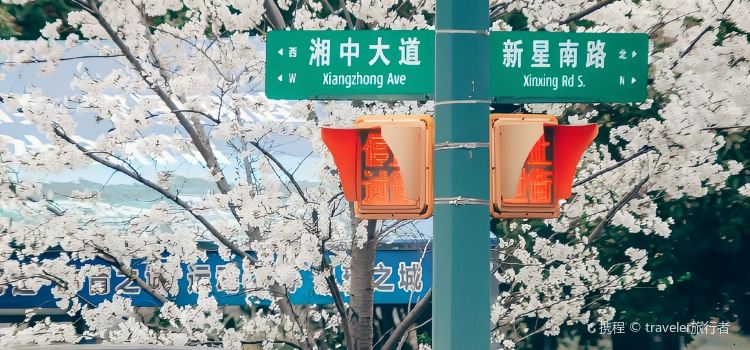 花之林(湘中大道店)