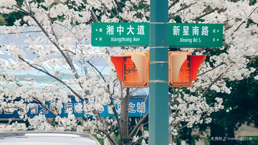 花之林人文茶馆(湘中大道店)