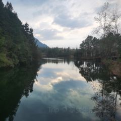 齐云山度假酒店· 祥瑞轩餐厅 User Photo