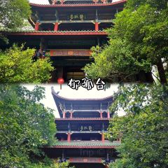 TaiZi Lou User Photo