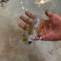 Tappia Floating Cafe Pattaya User Photo